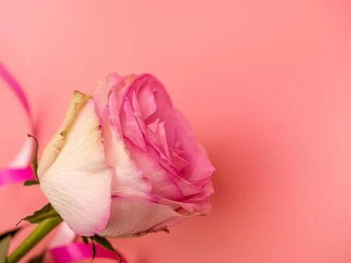 4. Ev Konuları Neyi Temsil Eder? Hesaplama Ücretsiz Astro Analiz